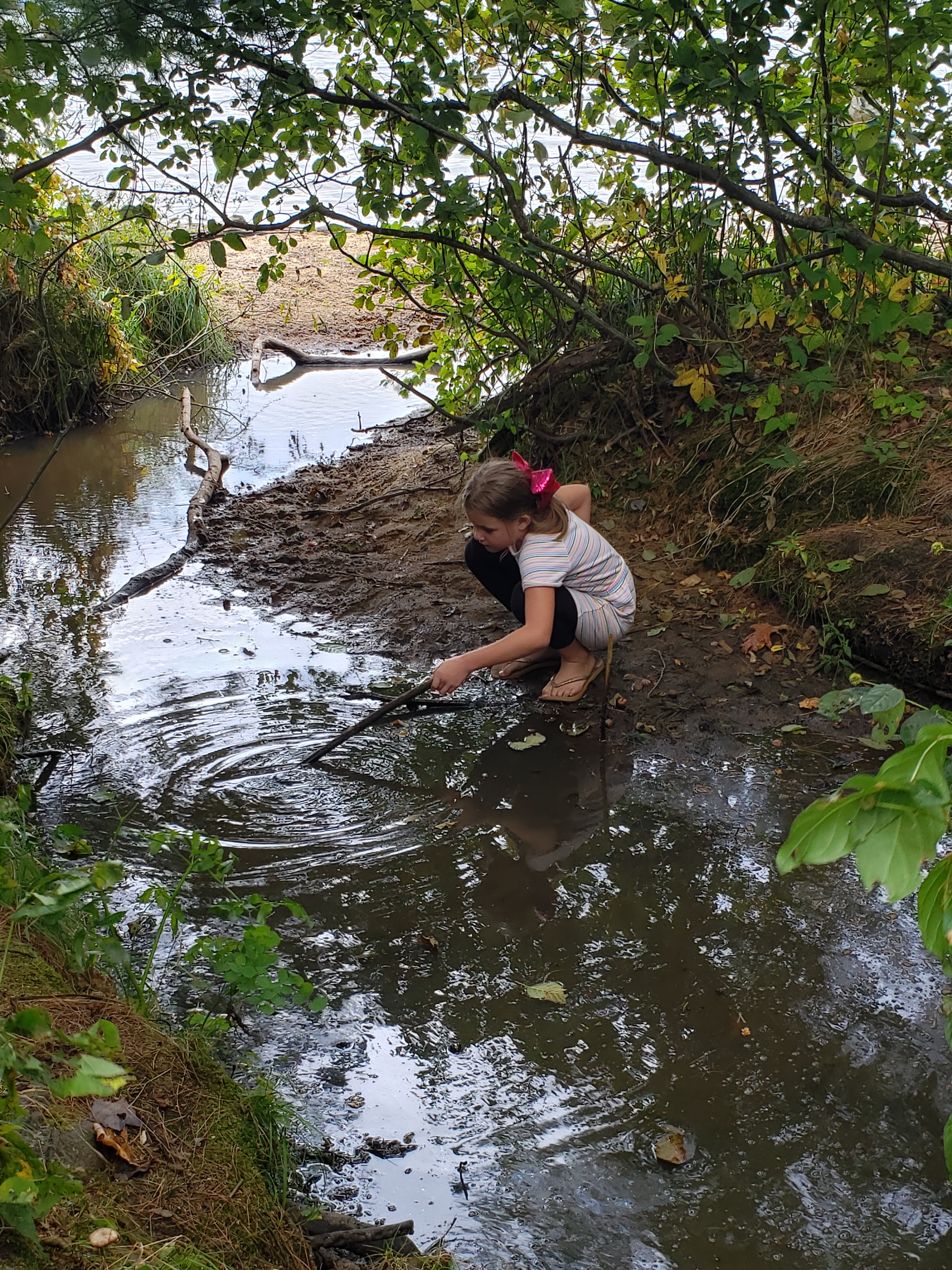 Citizen Science Camp in Action